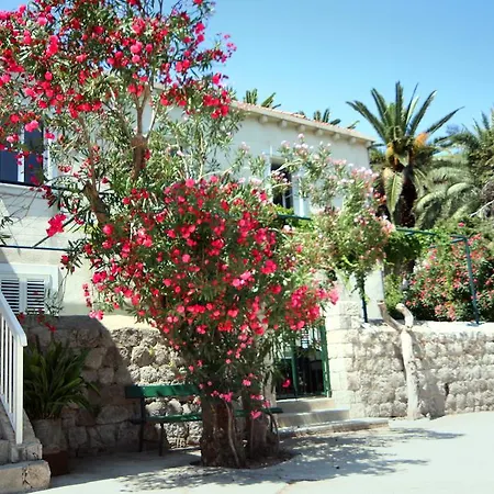 Guest house Katica Zaton (Dubrovnik-Neretva)